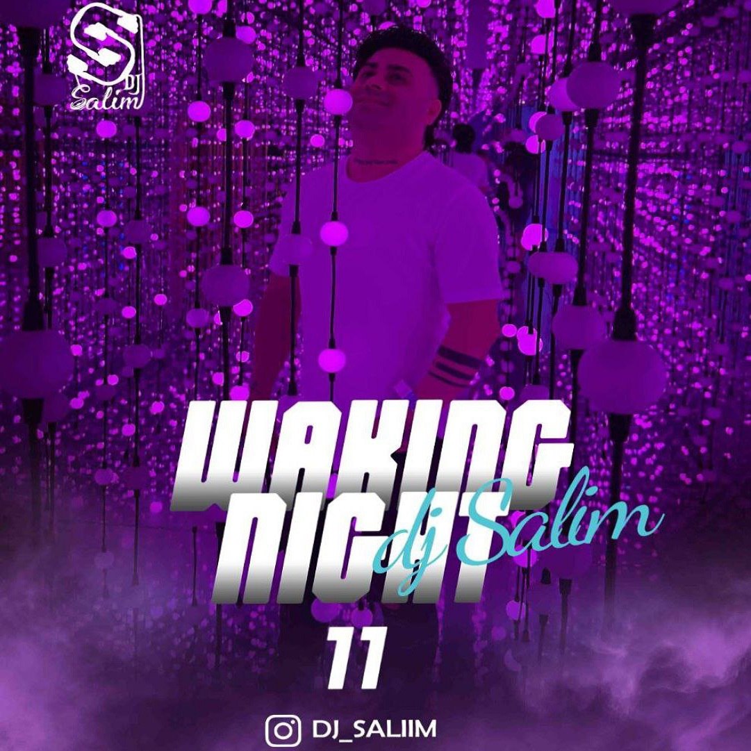 دانلود پادکست دیجی سلیم Waking Night 11